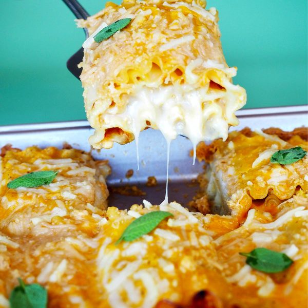 Pumpkin Lasagna Roll Ups Vegan Recipe