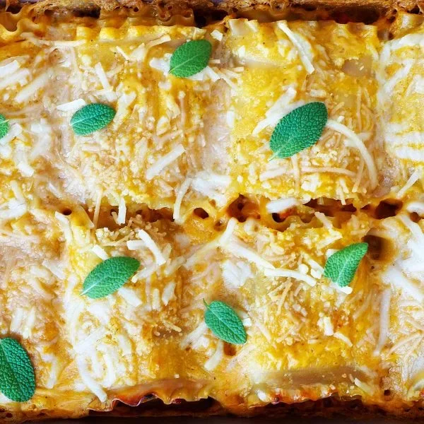 Pumpkin Lasagna Roll Ups Vegan Recipe